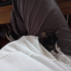 青青草免费线观综合网
