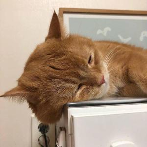 青青草免费线观综合网
