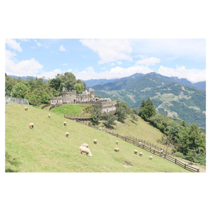 青青草免费线观综合网
