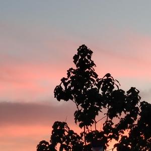 青青草免费线观综合网
