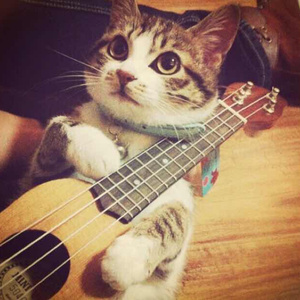 青青草免费线观综合网
